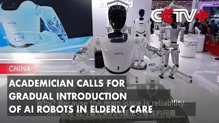 Academician Calls for Gradual Introduction of AI Robots in Elderly Care