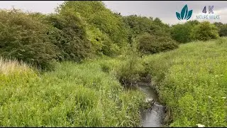 A short stroll by the river accompanied by a relaxing melody