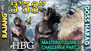 MHRise | HBG Solo 
