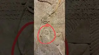 Exotic animal brought as tribute to the palace of Nimrud