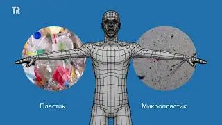 Как работает созданная в ТГУ нейросеть для сортировки мельчайшего пластика