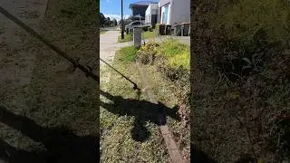 Unbelievable discovery while mowing the lawn. 