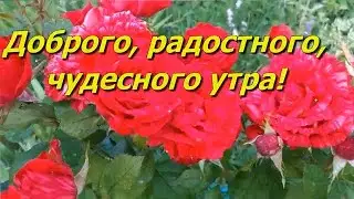 ДОБРОЕ УТРО, ДРУЗЬЯ! УДАЧИ ВАМ И СЧАСТЬЯ!  Красивое музыкальное видео