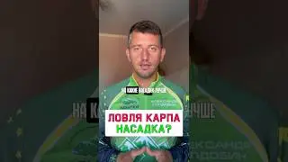 Какая НАСАДКА ЛУЧШЕ? #карпфишинг