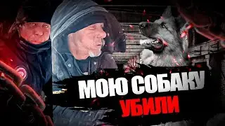МОЮ СОБАКУ УБИЛИ! | ЖИЛА СО МНОЙ 10 ЛЕТ | Жизнь на дне #5 | #Помощь #Жизньнадне