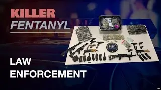 Fentanyl Presents Unique Challenges for US Law Enforcement | VOANews