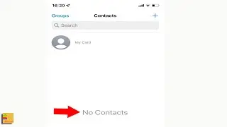 iPhone Contacts Disappeared | All Contacts | How to Bring it Back