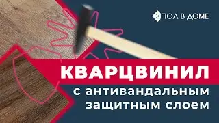 Кварцвинил, который не царапается