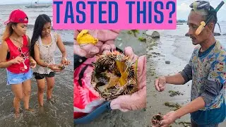 Filipinas Try SEA URCHIN on the Beach (Taste Test) [2024] #philippines #shorts #seafood