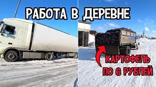 Такие цены на овощи убивают СЕЛЬСКОЕ ХОЗЯЙСТВО и мы работаем в ноль. Работа в сельском хозяйстве.
