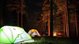 The pleasant sounds of a campfire in the woods at night for sleeping.  Relaxing sounds of a campfire