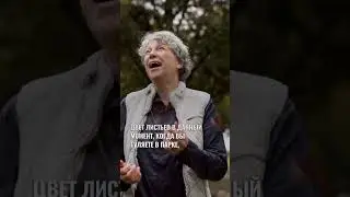 Почему важна наблюдательность? Кристина Кудрявцева 