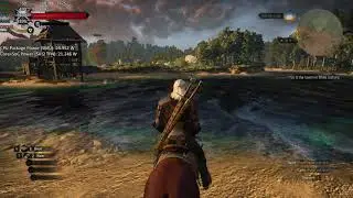AMD Ryzen 7 5800U iGPU Test - The Witcher 3