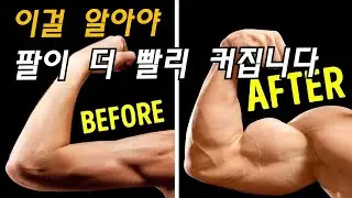 팔을 더 빠르게 키우고 싶다면 꼭 알아야하는 것