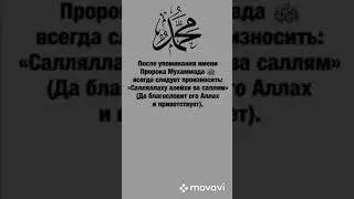 Дэрс Мухьэммэд бегъымбарым Саллаллаху алейхи ва саллям игъащ1эр къызэрек1уэк1ам теухуауэ  23 часть