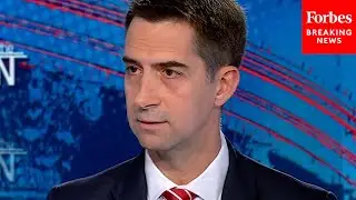 Tom Cotton: Russia Paying Right-Wing Content Creators Is 'Not All That Consequential' For 2024