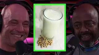 Joe Explains the Term "Soy Boy" to Donnell Rawlings