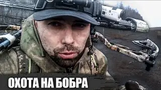 Охота на бобра весной с блочным луком 2020. Добыл очередной трофей!