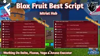 | Mtriet Hub | Blox Fruit 2024 Best Script Pastebin | Mirrage, Race V4, Auto Farm & More | Working