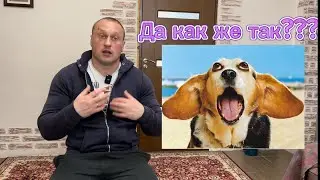 У ребёнка аллергия на животных, что делать с Собакой которая дома, как поступить???