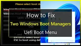 How to Fix Two Windows Boot Managers in Uefi Boot Menu?