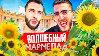 РЕНАТКО ПОПРОБОВАЛ ВОЛШЕБНЫЙ МАРМЕЛАД !🍀| ДИКИЙ НОЧНОЙ УГАР В ВЕНЕ !