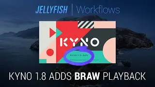 Jellyfish Workflows: Kyno 1.8 Adds Blackmagic RAW Playback