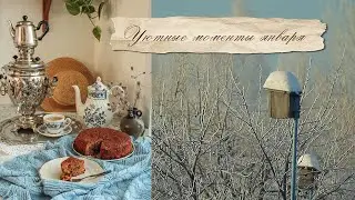 Уютные моменты января❄️🌲Распаковка английского чайного сервиза🫖 Зимний согревающий пирог🥮