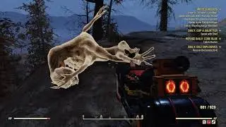 Fallout 76 Kill A Snallygaster Locations