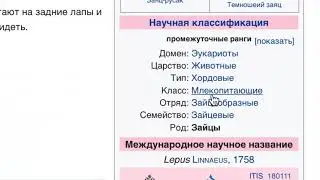 Татарский спидран по Википедии: от марсохода «Персеверанс» к белому барсу