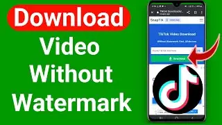 How to Download Tiktok Video Without Watermark - Full Guide - in hindi