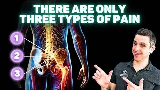 The Real ROOT CAUSE of Chronic Back Pain (pt.2) - Three Types of Pain