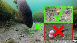 Why you must use pop ups over bottom baits!
