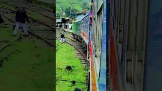 🚊🥺💚 #srilanka #train #ride #travel #denu