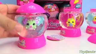 Opening Orbeez Wow World Wowzer Surprise Super Rare Magical Pet