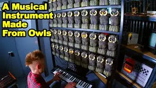 THE OWL ORGAN, A Musical Instrument Made From Owl Garden Ornaments