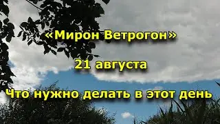 21 августа праздник Мирон Ветрогон.