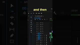 This Premiere Pro Tip Saves Me
