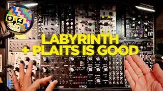 How Moog Labyrinth & Plaits/Braids could power a live set