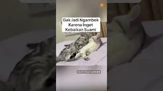 Gak Jadi Ngambek Karena Inget Kebaikan Suami