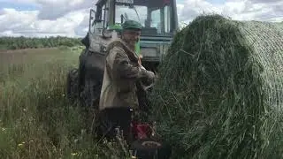 Сенокос 2023!Мотаем сенаж из овса!