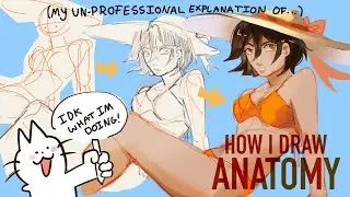 ✨ Anatomy tutorial! (Explained as best I can) ✨