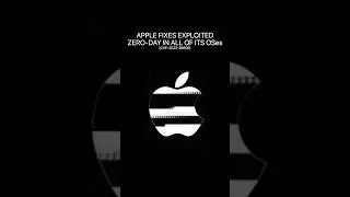 Apple fixes exploited zero-day in all of its OSes #cybersecurity #apple #update #shorts