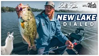 Seth Feider New Lake Bass Fishing Smackdown 🥊