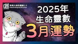 2025年3月運勢-過程或結果，選哪個？ 靈數運勢  喵喵大師 生命靈數