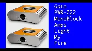 GATO PWR-222 Monoblock Amplifier, SHAKEN & STIRRED!