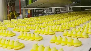 How Marshmallows Are Made | How It's Made Marshmallow Peeps | Food Factory