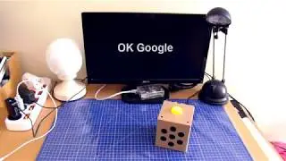 DIY Pairing Google AIY Voice Kit with Home Automation