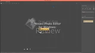 Movavi Photo Editor for Windows: Review