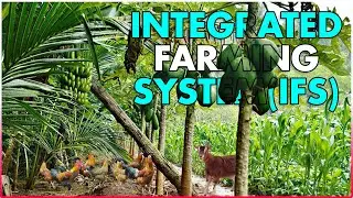 What is Integrated Farming System (IFS) | Benefits of Integrated Farming System